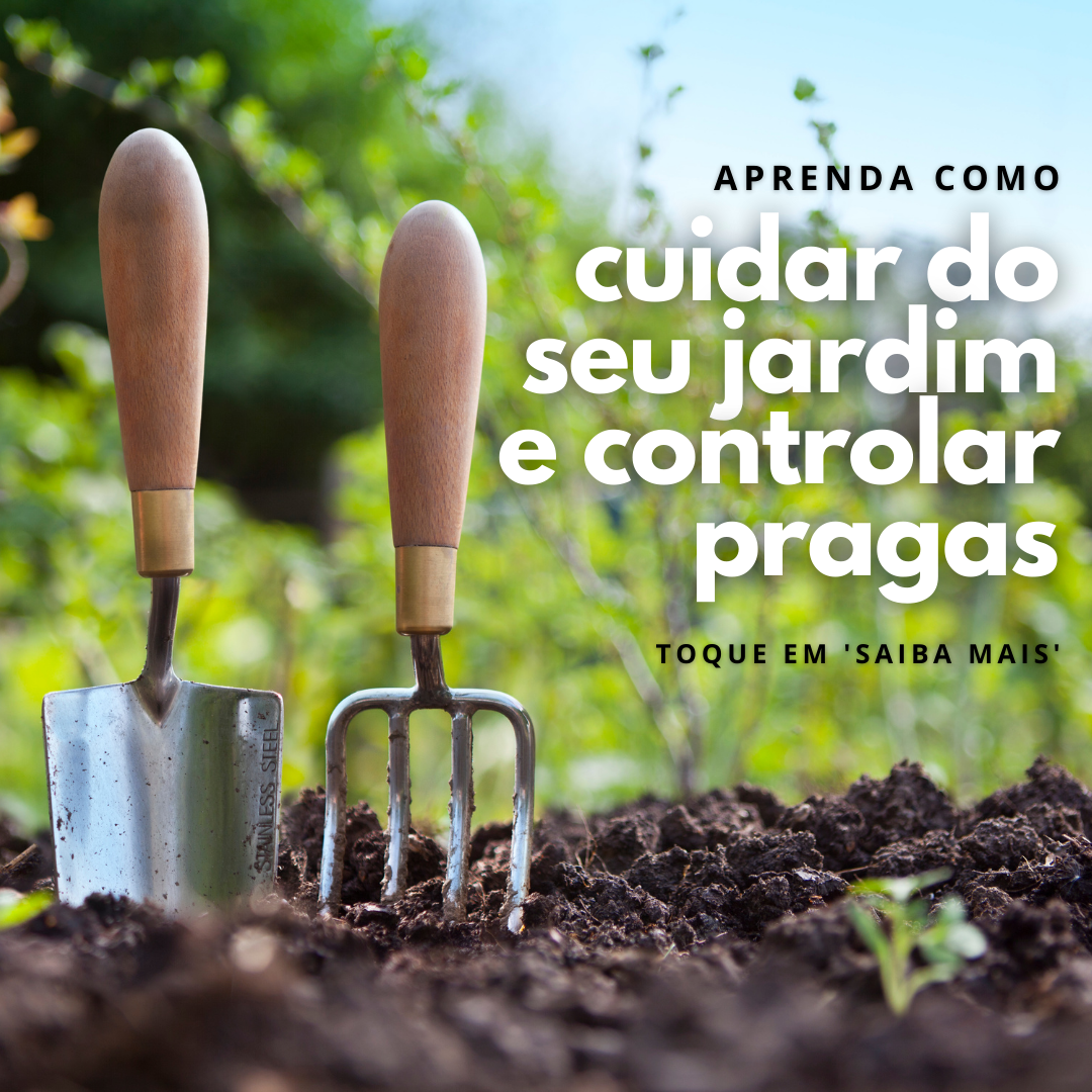 Jardim